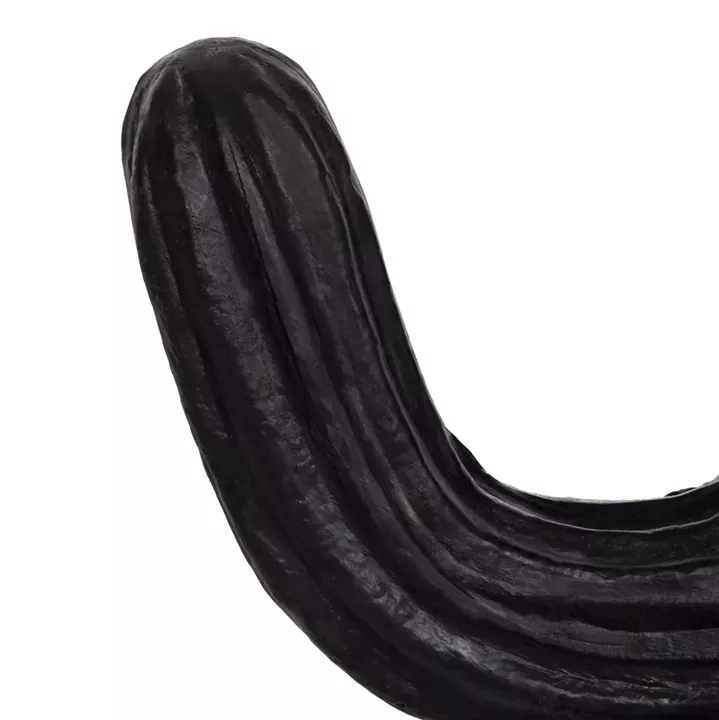 ΔΙΑΚΟΣΜΗΤΙΚΟΣ ΚΑΚΤΟΣ ΔΑΠΕΔΟΥ CACTUS HM4386.01L ΓΥΨΟΣ ΣΕ ΜΑΥΡΟ 63x37x150Υεκ.