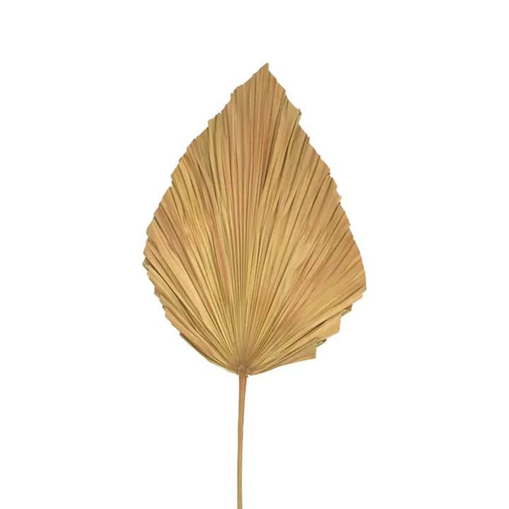 Διακοσμητικό φύλλο Walsy Inart palm leaf σε φυσική απόχρωση Υ135 εκ