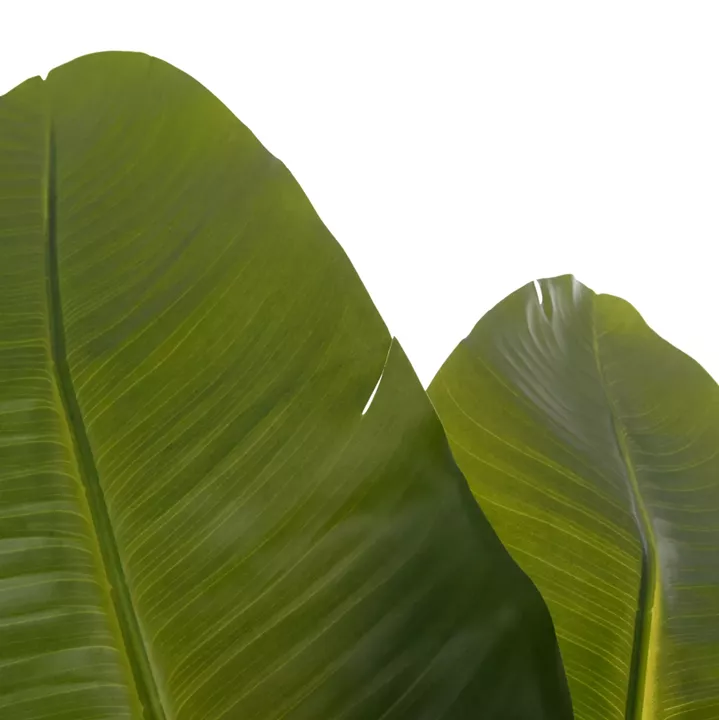 DECORATIVE SYNTHETIC PLANT IN POT HM4739 STRELITZIA Φ18x172Hcm.