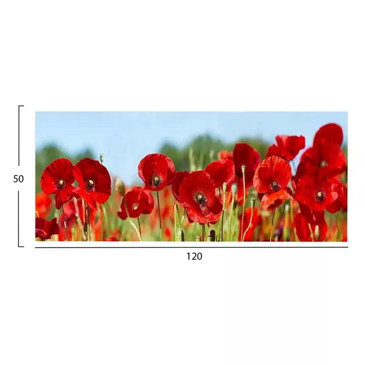 WALL PAINTING SERIES GOBI HM4786 PRINTED CANVAS 120x3(thickness)x50Hcm.