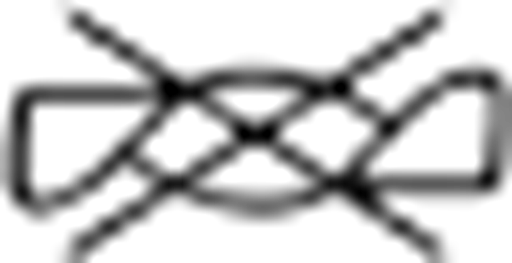 ΠAΠΛΩMA Bristol-2 MΩB