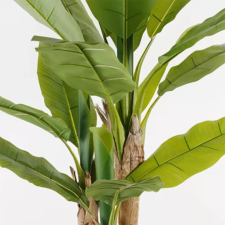 Decorative plant in a pot Banana Tree Inart green D53x190cm