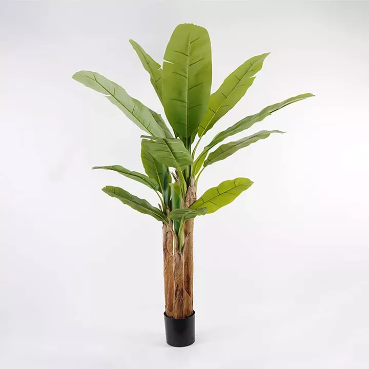 Decorative plant in a pot Banana Tree Inart green D53x190cm