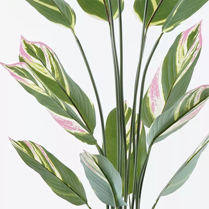 Decorative plant in a pot Aglaonema Inart green D80x150cm