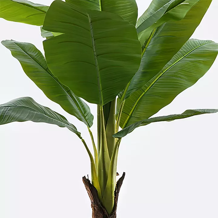 Decorative plant in a pot Musa Inart green D105x180cm