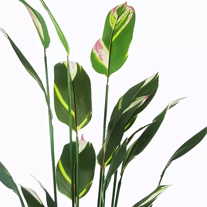 Ornamental plant in pot Lucky I Inart green D80x210cm