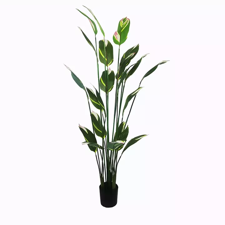 Ornamental plant in pot Lucky I Inart green D80x210cm