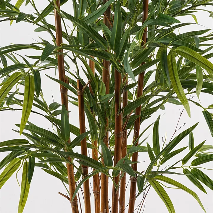 Decorative plant in a pot Rhapis Palm Inart green D80x180cm