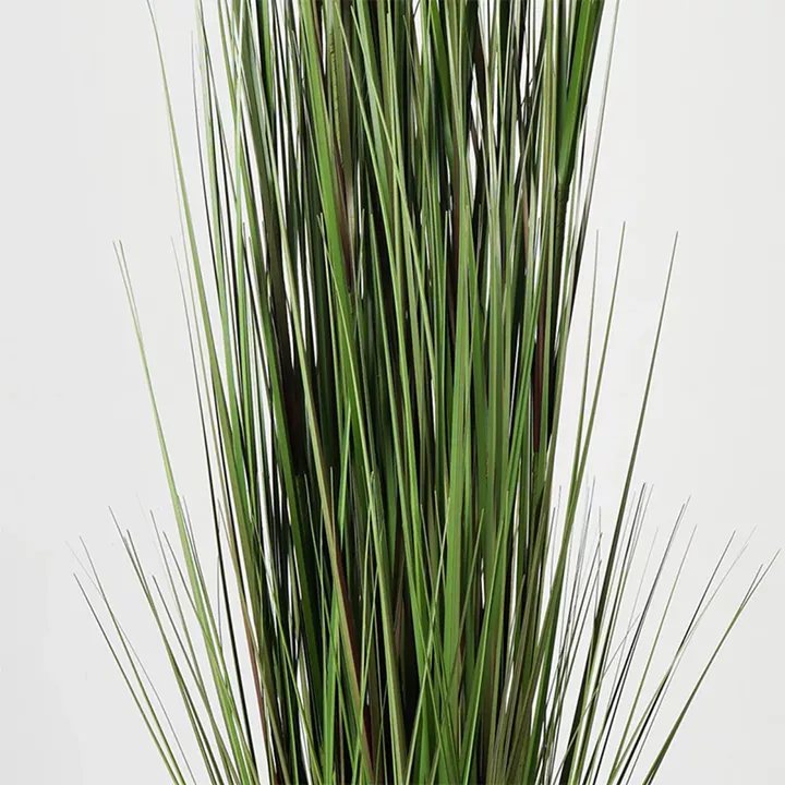 Διακοσμητικό φυτό σε γλάστρα Βoxwood Inart πράσινο Φ46x150εκ