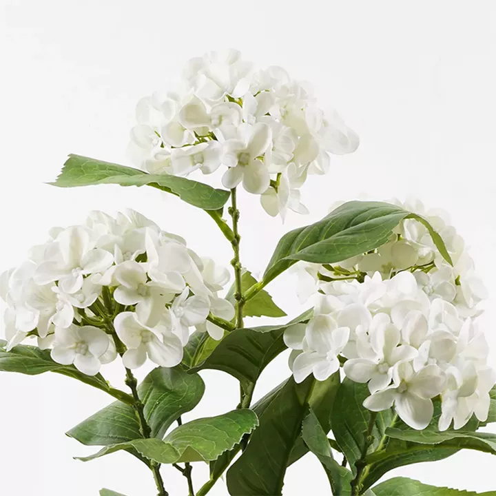 Διακοσμητικό φυτό σε γλάστρα Hydrangea Inart λευκό Φ35x50εκ
