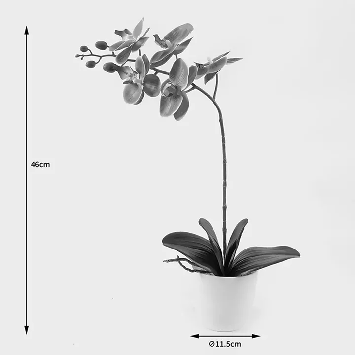 Decorative plant in a pot Orchid Beauty Inart 30x13x46cm