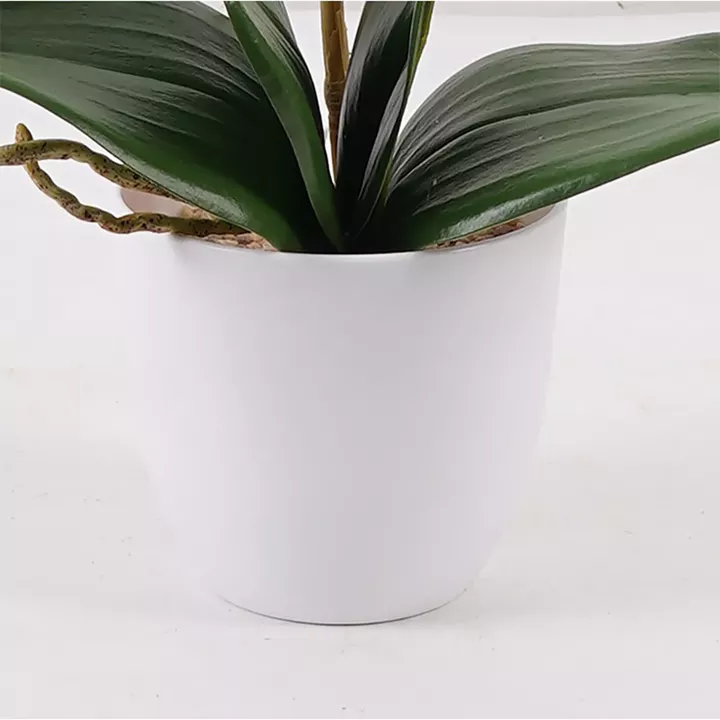 Decorative plant in a pot Orchid Beauty Inart 30x13x46cm