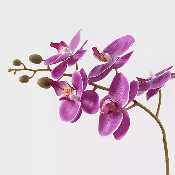Decorative plant in a pot Orchid Beauty Inart 30x13x46cm