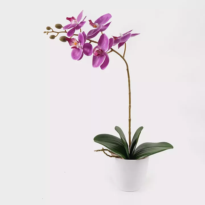Decorative plant in a pot Orchid Beauty Inart 30x13x46cm