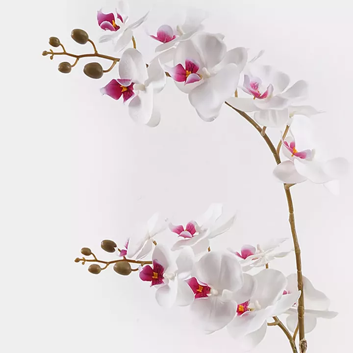 Διακοσμητικό φυτό σε γλάστρα Οrchid White Inart 36x17x65εκ