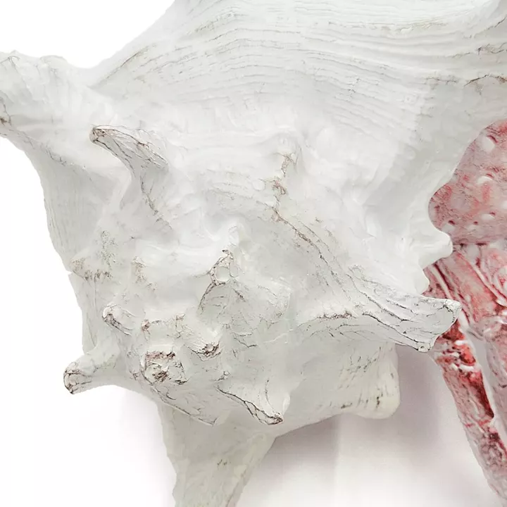 Artekko Animal Κόκκινο Επιτραπέζιο Διακοσμητικό Καβούρι σε Λευκό Κοχύλι από Ρητίνη (18.5x18x14.5)cm