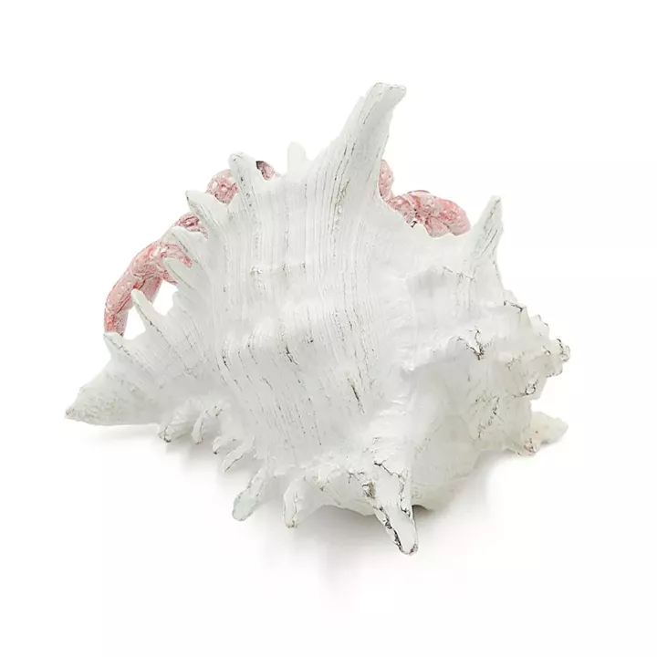 Artekko Animal Κόκκινο Επιτραπέζιο Διακοσμητικό Καβούρι σε Λευκό Κοχύλι από Ρητίνη (18.5x18x14.5)cm