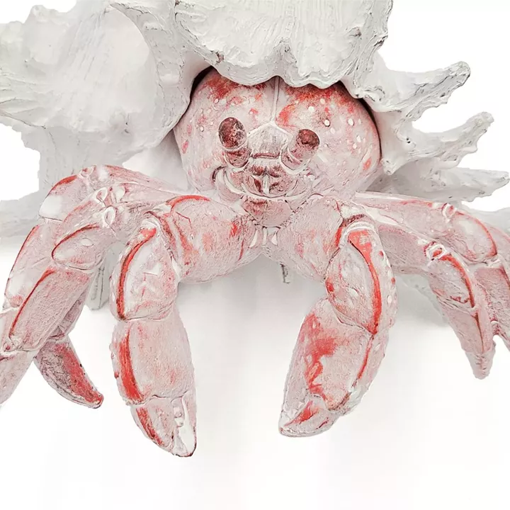 Artekko Animal Κόκκινο Επιτραπέζιο Διακοσμητικό Καβούρι σε Λευκό Κοχύλι από Ρητίνη (23.5x23.5x17.8)cm