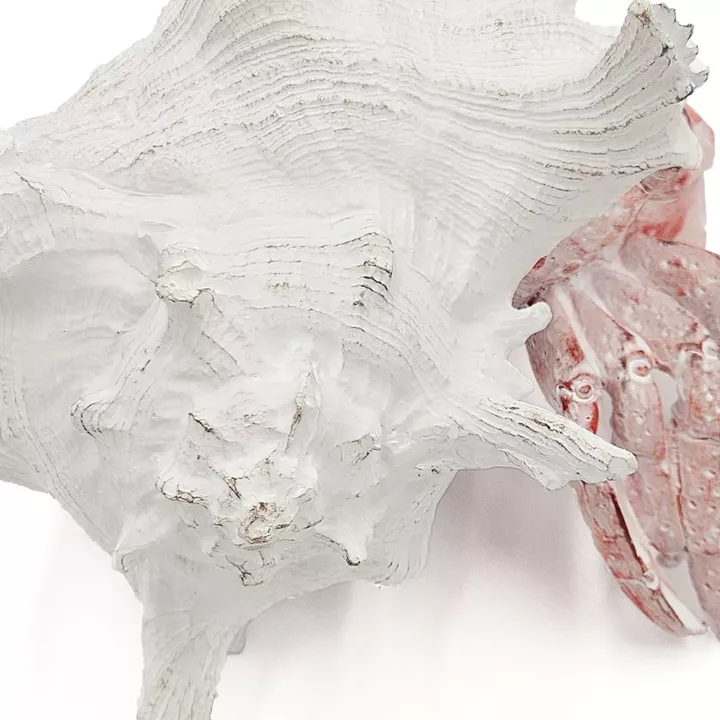 Artekko Animal Κόκκινο Επιτραπέζιο Διακοσμητικό Καβούρι σε Λευκό Κοχύλι από Ρητίνη (23.5x23.5x17.8)cm