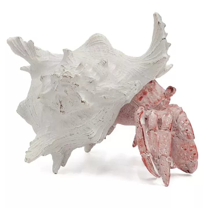 Artekko Animal Κόκκινο Επιτραπέζιο Διακοσμητικό Καβούρι σε Λευκό Κοχύλι από Ρητίνη (23.5x23.5x17.8)cm