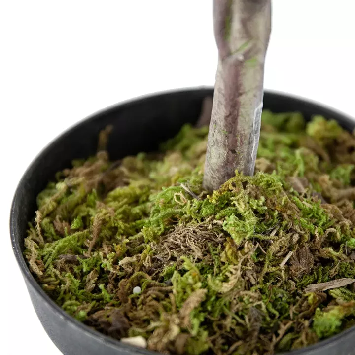 Artekko Olive Πλαστική Τεχνητή Ελιά σε Μαύρη Γλάστρα (44x40x108)cm