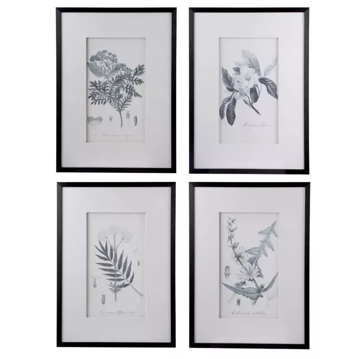 Artekko Botanical Πίνακας με Κορνίζα Πλαστικό Γυαλί Μαύρο Λευκό (50x3x70)cm Σετ/4