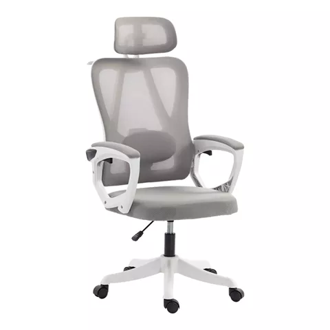 Exeter pakoworld director's office chair white - mesh gray 50x58x119-129cm