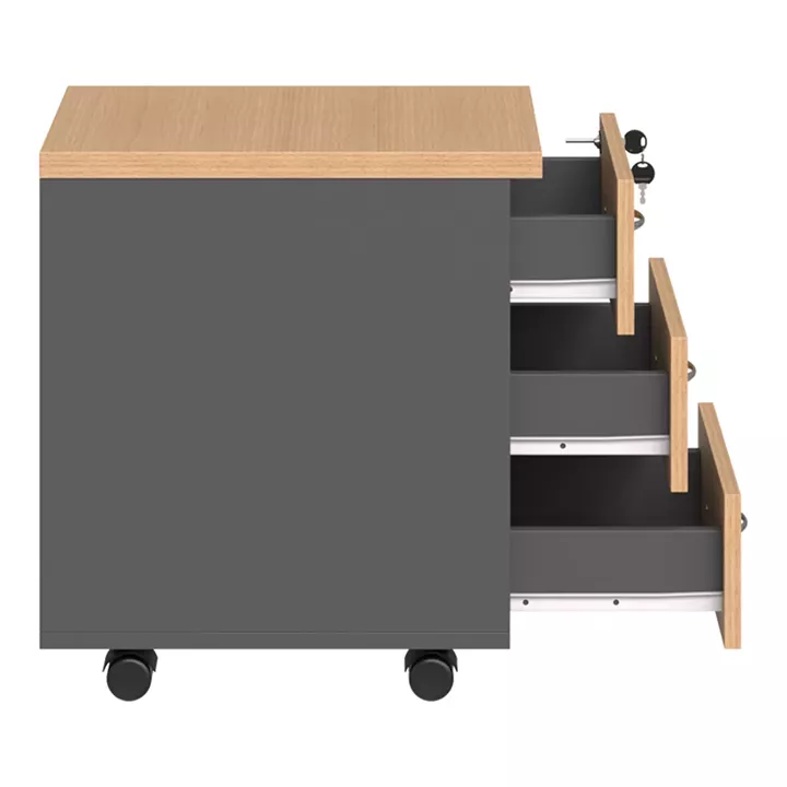 Professional wheeled drawer Fesialo pakoworld natural-anthracite 39x47x52.5cm