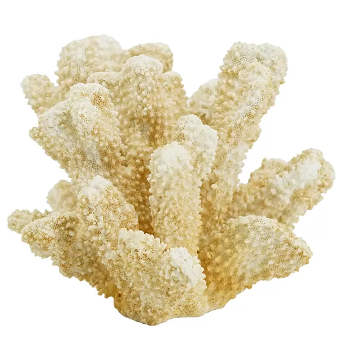 Artekko Coral Μπεζ Διακοσμητικό Κοράλλι Ρητίνης (22x17x14)cm