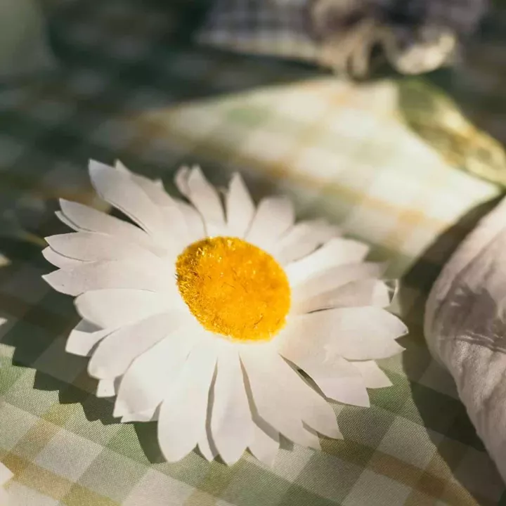 Beauty Home 2 τεχνητές μαργαρίτες Ø10cm