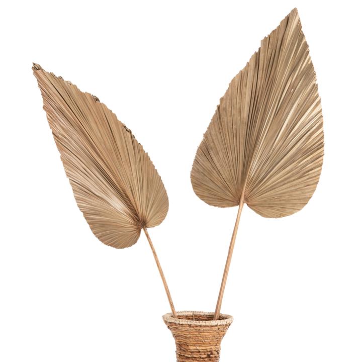 DRIED RUFFLED PALM LEAF DECOR HM7875 IN NATURAL COLOR 42x135x3 cm.