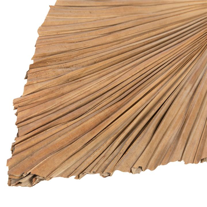 DRIED RUFFLED PALM LEAF DECOR HM7875 IN NATURAL COLOR 42x135x3 cm.