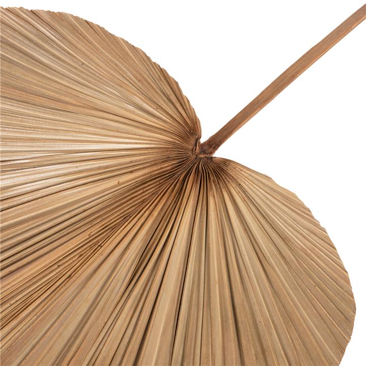 DRIED RUFFLED PALM LEAF DECOR HM7875 IN NATURAL COLOR 42x135x3 cm.