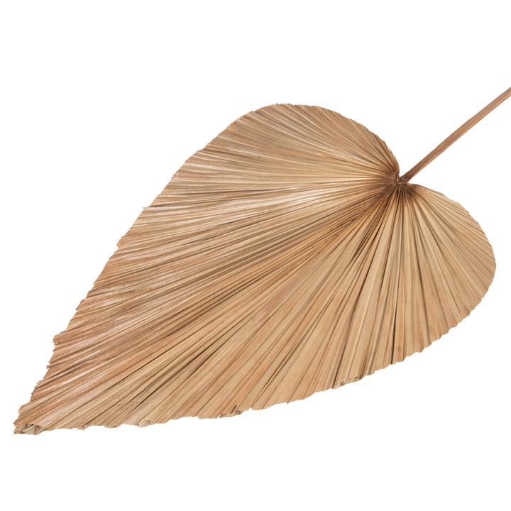 DRIED RUFFLED PALM LEAF DECOR HM7875 IN NATURAL COLOR 42x135x3 cm.