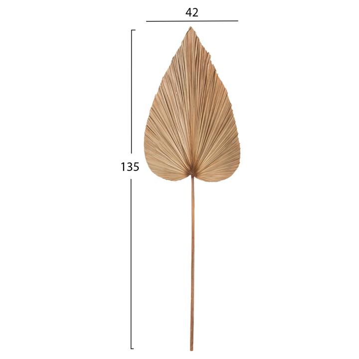 DRIED RUFFLED PALM LEAF DECOR HM7875 IN NATURAL COLOR 42x135x3 cm.