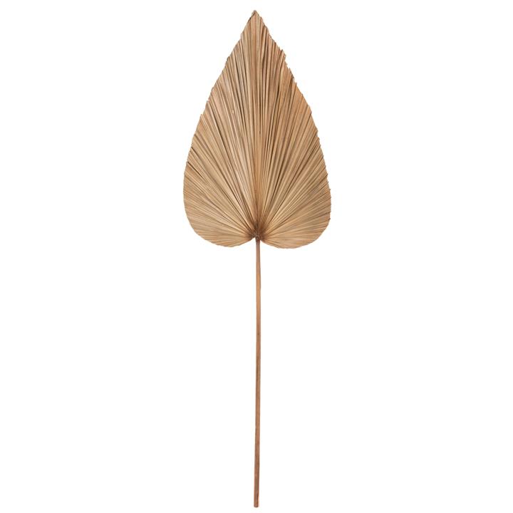 DRIED RUFFLED PALM LEAF DECOR HM7875 IN NATURAL COLOR 42x135x3 cm.