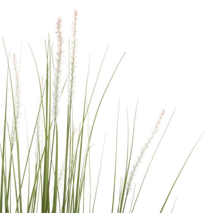 DECORATIVE SYNTHETIC PLANT IN POT HM4017 BRISTLEGRASS 173Hcm.