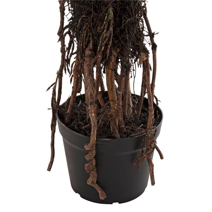 DECORATIVE SYNTHETIC PLANT IN POT HM7988 PALM TREE Φ23x18-180Hcm.