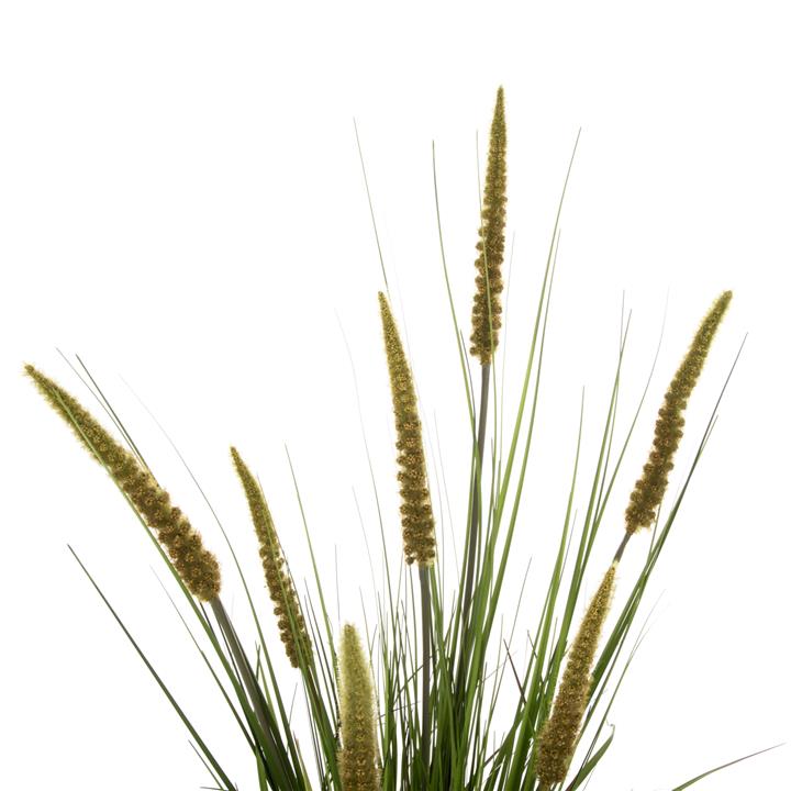 DECORATIVE SYNTHETIC PLANT IN POT HM7999 OPHIUROS 130Hcm.