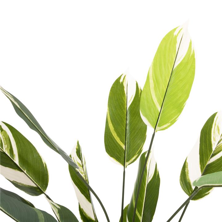DECORATIVE SYNTHETIC PLANT IN POT HM7997 WHITE JADE 140Hcm.