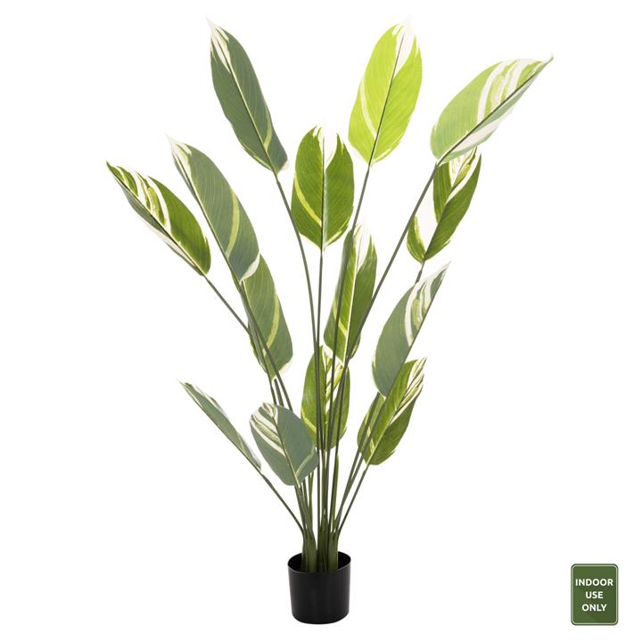 DECORATIVE SYNTHETIC PLANT IN POT HM7997 WHITE JADE 140Hcm.