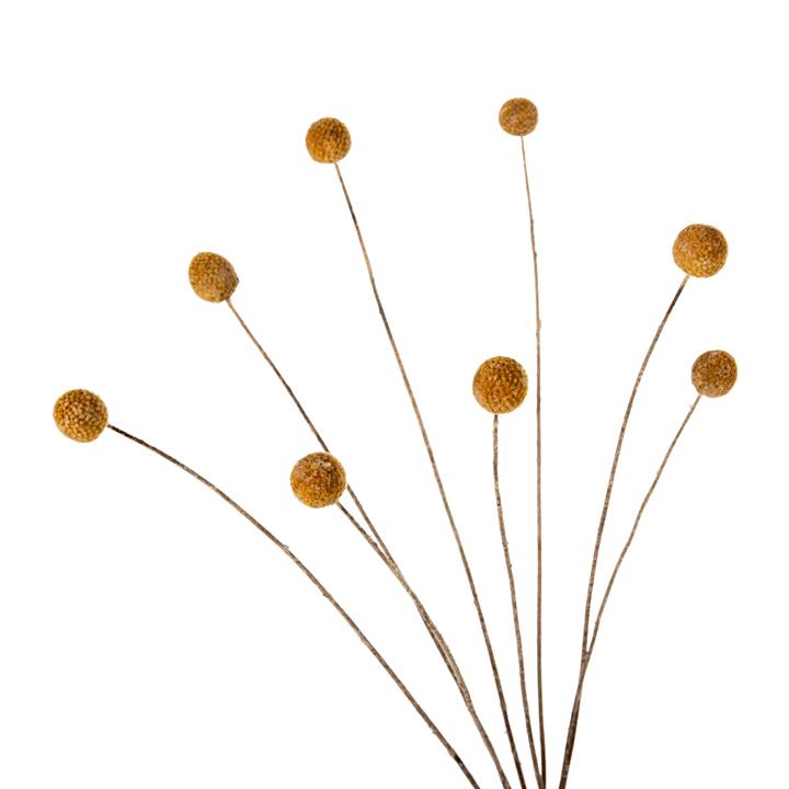 DECORATIVE DRIED BOUQUET CRASPEDIA GLOBOSA HM7956 YELLOW 63Hcm.