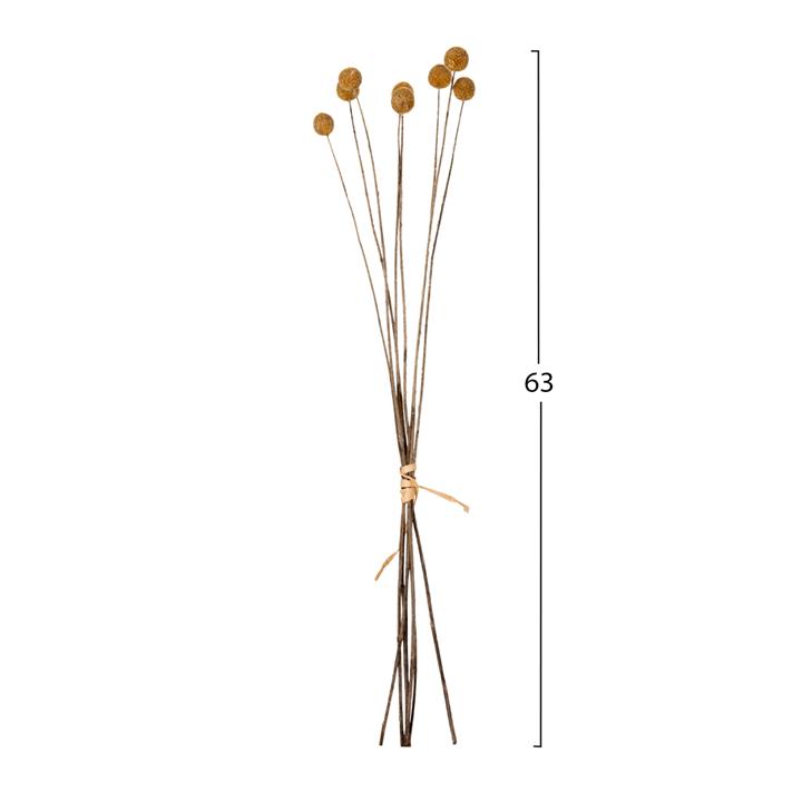 DECORATIVE DRIED BOUQUET CRASPEDIA GLOBOSA HM7956 YELLOW 63Hcm.