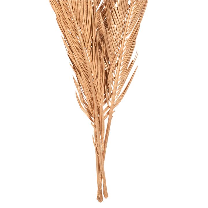 DECORATIVE DRIED 3-LEAF SET OF PALM TREE HM7958 GOLD 110Hcm.