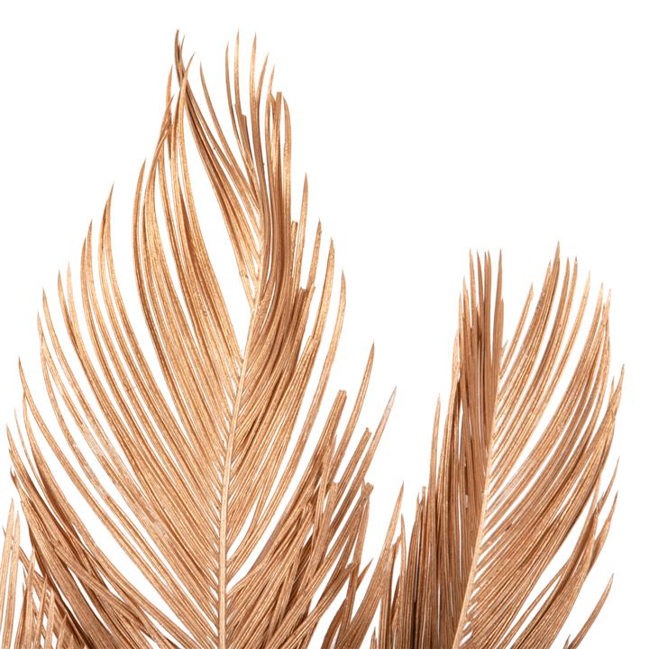DECORATIVE DRIED 3-LEAF SET OF PALM TREE HM7958 GOLD 110Hcm.