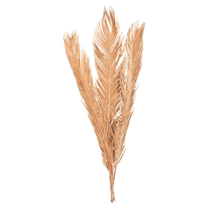 DECORATIVE DRIED 3-LEAF SET OF PALM TREE HM7958 GOLD 110Hcm.