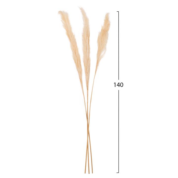 DECORATIVE DRIED REED 3PCS HM7961 WHITE 140Hcm.