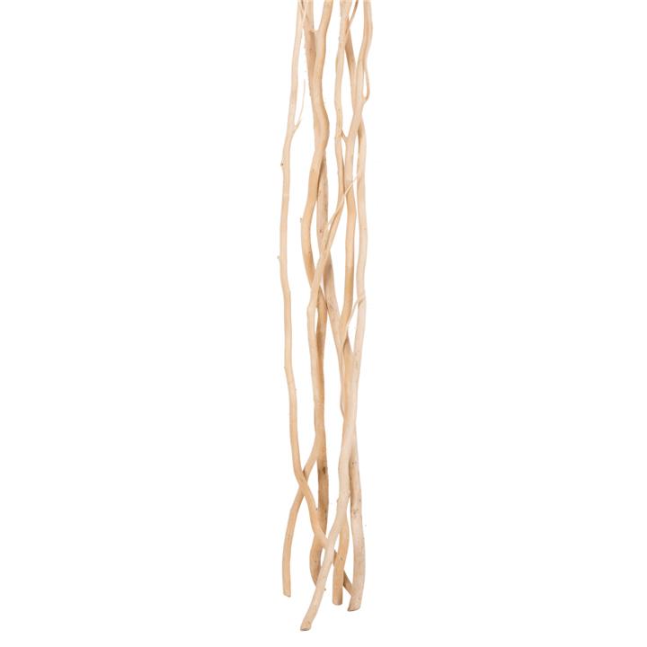 DECORATIVE BOUQUET 5PCS DRIED WILLOW BRANCHES HM7966 CREAM 170Hcm.