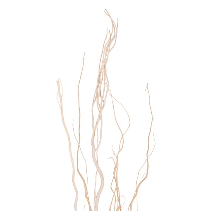 DECORATIVE BOUQUET 5PCS DRIED WILLOW BRANCHES HM7966 CREAM 170Hcm.