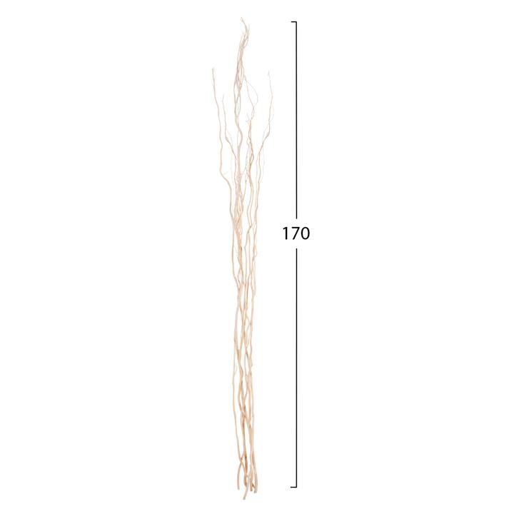DECORATIVE BOUQUET 5PCS DRIED WILLOW BRANCHES HM7966 CREAM 170Hcm.
